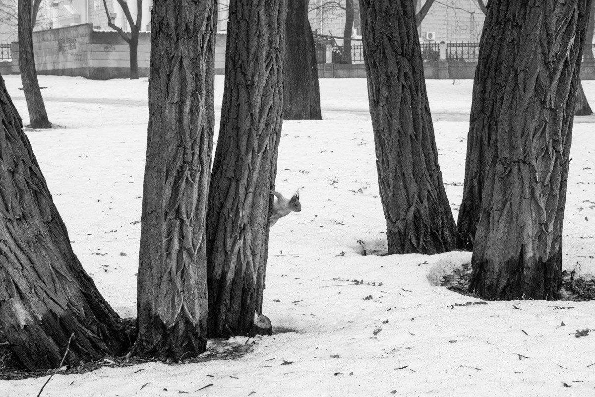 Скоро весна