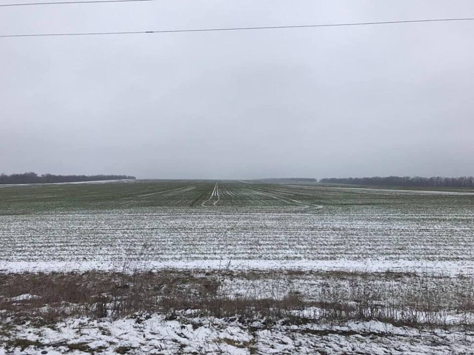 Место, где планируют построить аэропорт