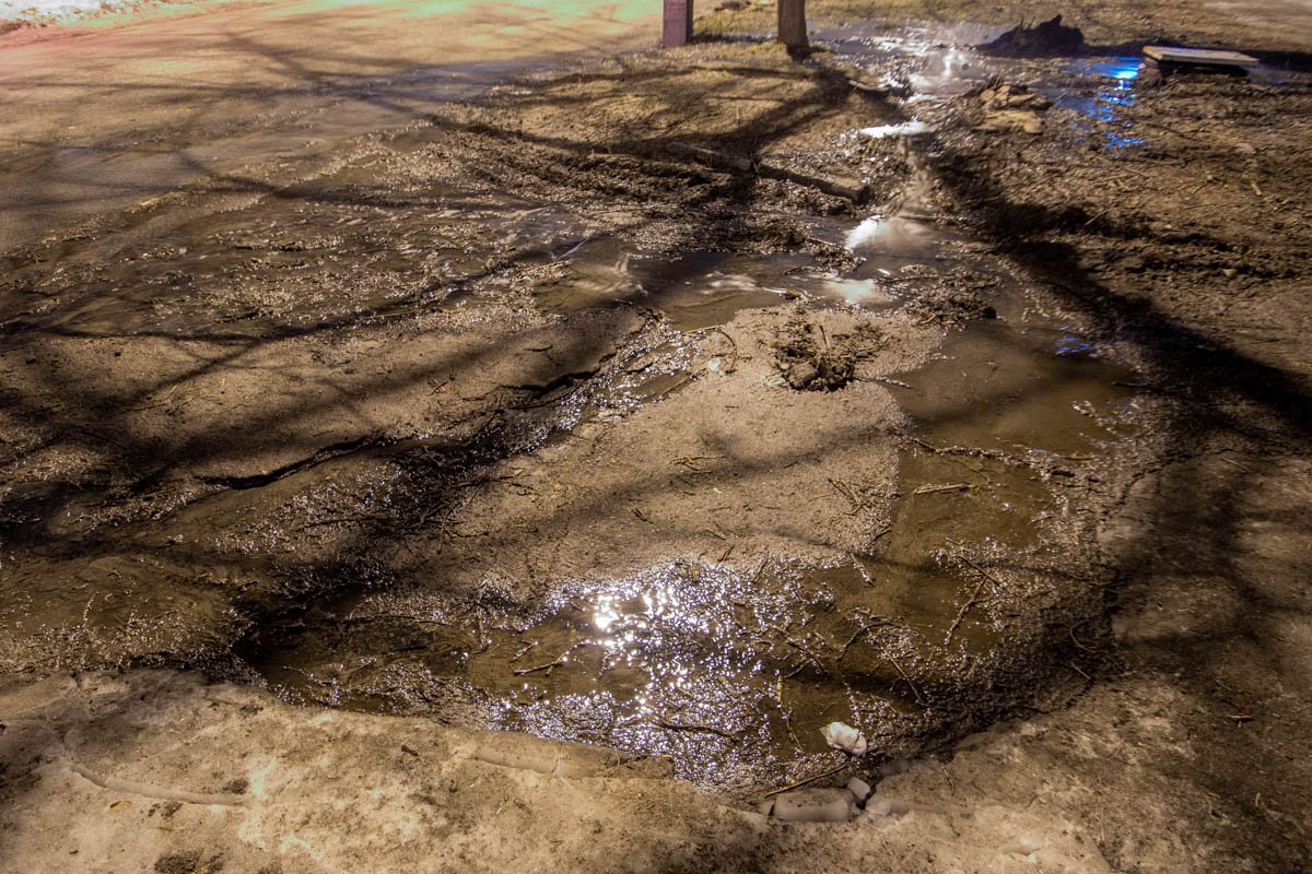 Залило тротуар и проезжую часть Залило тротуар и проезжую часть