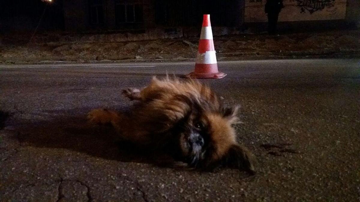 При всем своем желании, встать и убежать куда-то малышка не могла