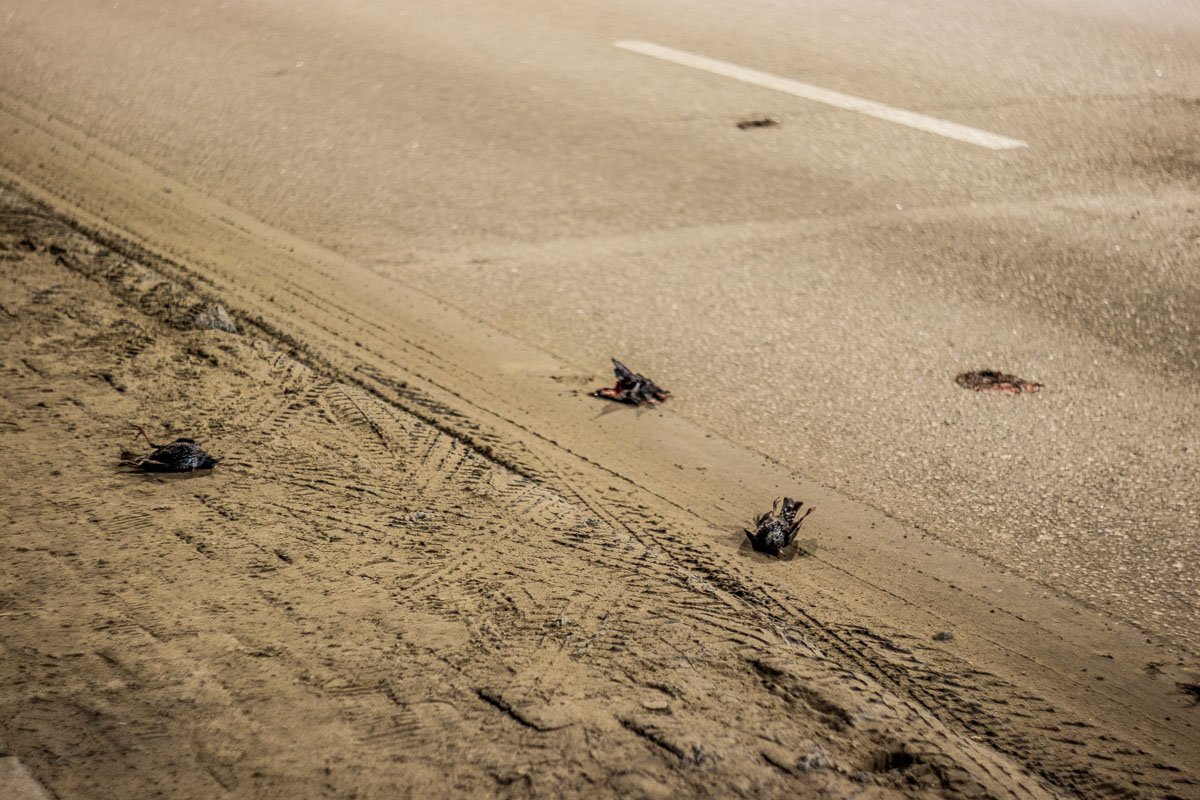 Причины случившегося пока не известны Причины случившегося пока не известны