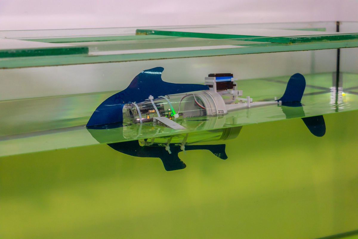 В Днепр такая рыбка еще не приезжала, поэтому присутствующие видели ее впервые В Днепр такая рыбка еще не приезжала, поэтому присутствующие видели ее впервые