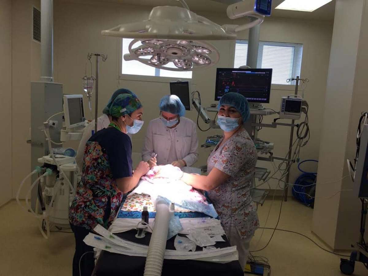 Первая операция на сердце у недоношенного ребенка в центре Руднева