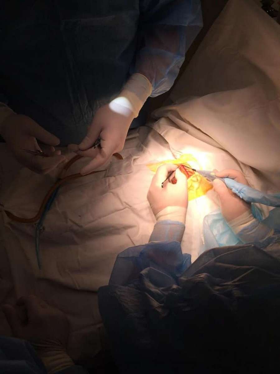 Малышу удалось спасти жизнь