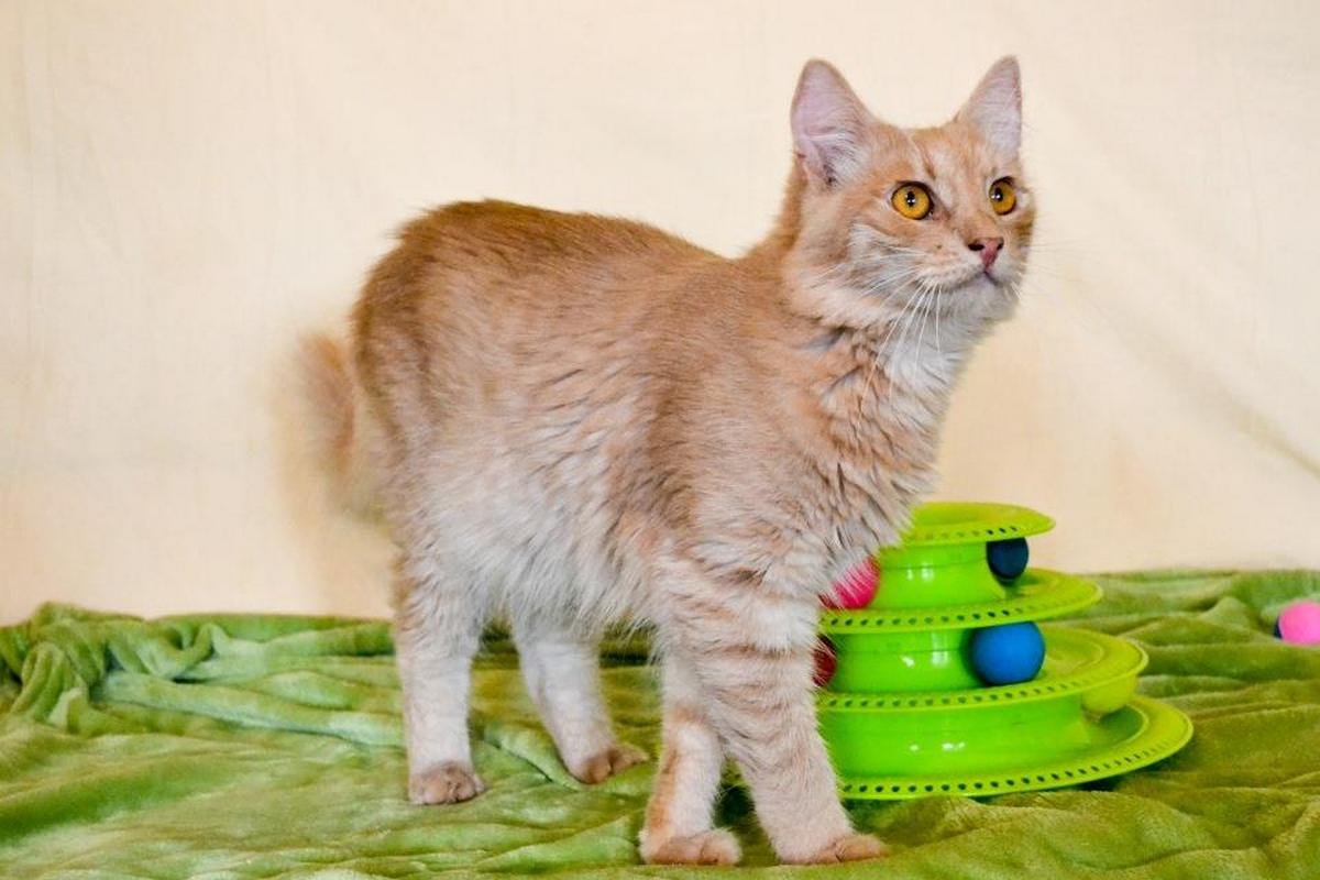 С ним вы сможете навсегда забыть, что такое депрессия