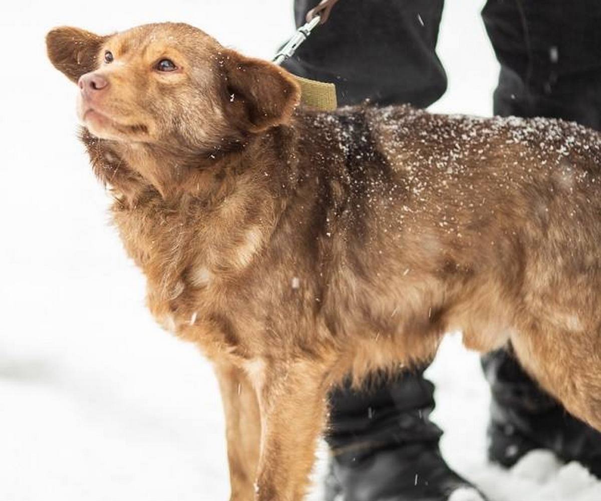 Одно сплошное НЯ