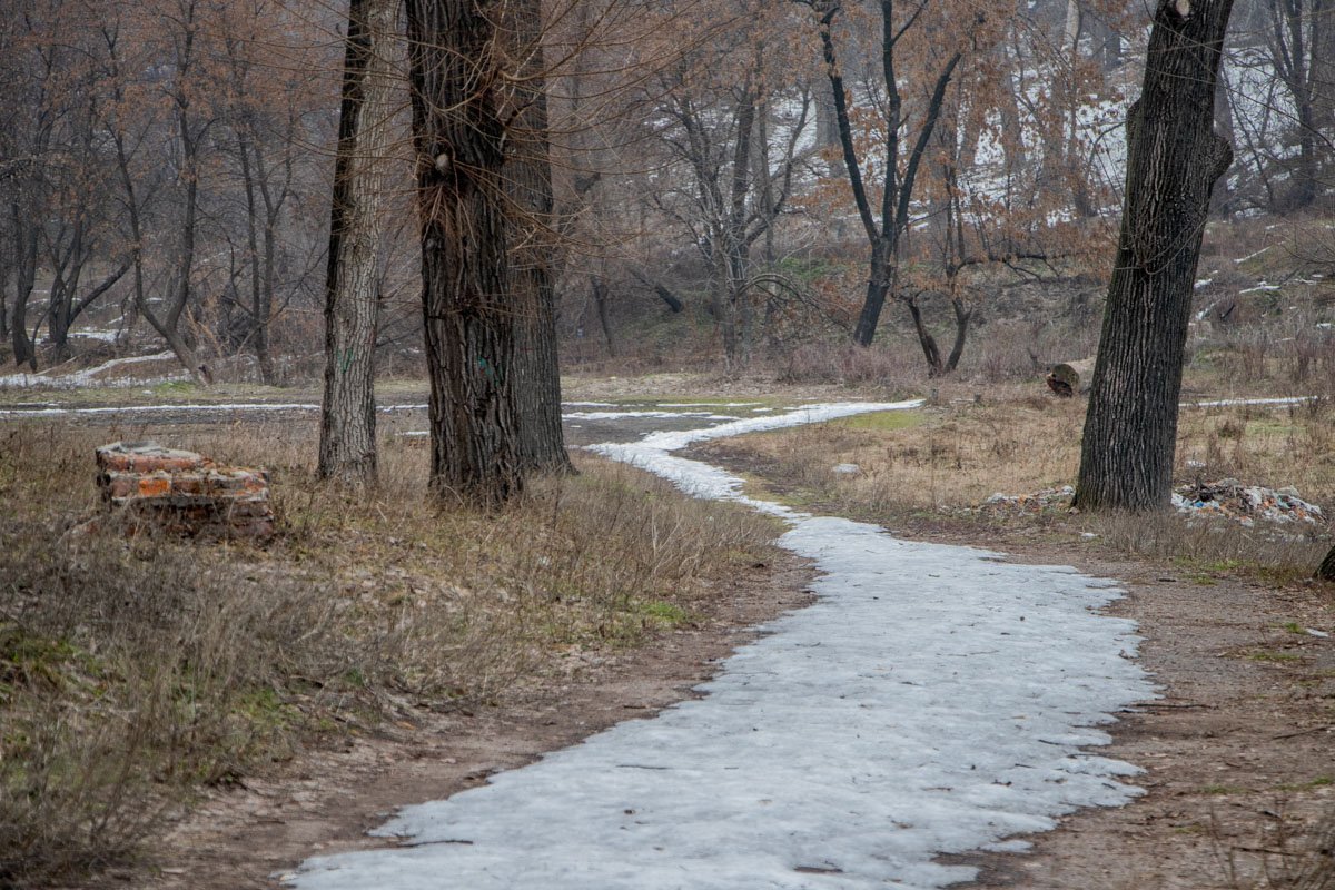 Естественные тропинки Естественные тропинки