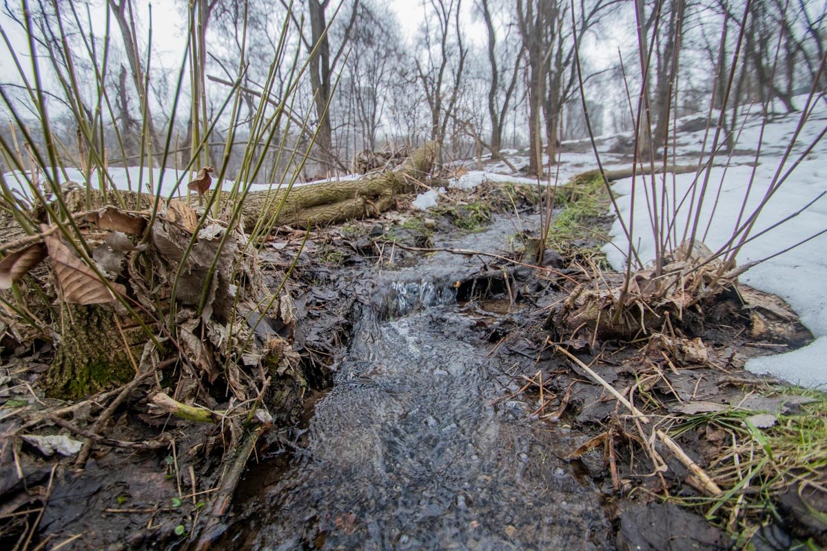 Даже речушка есть Даже речушка есть