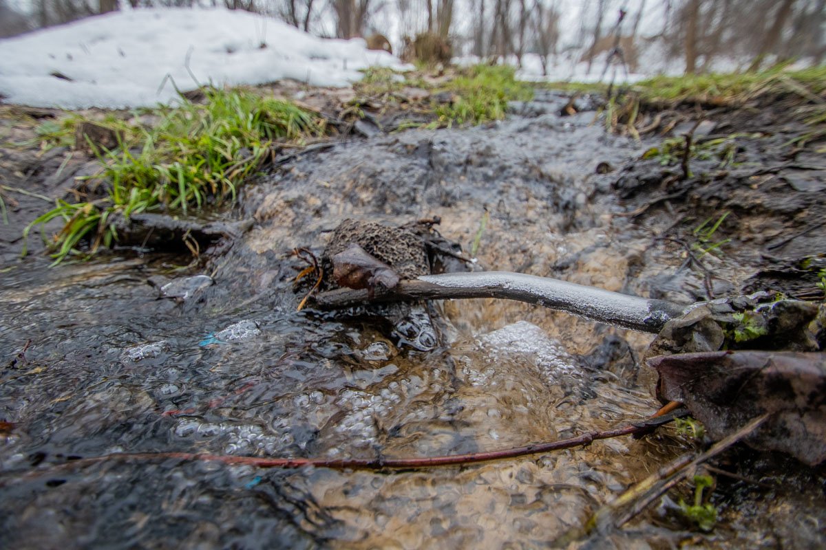 Природа Природа