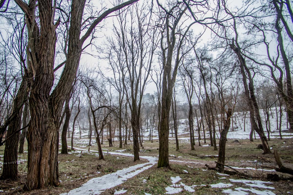 Можно сделать хорошее место для отдыха Можно сделать хорошее место для отдыха