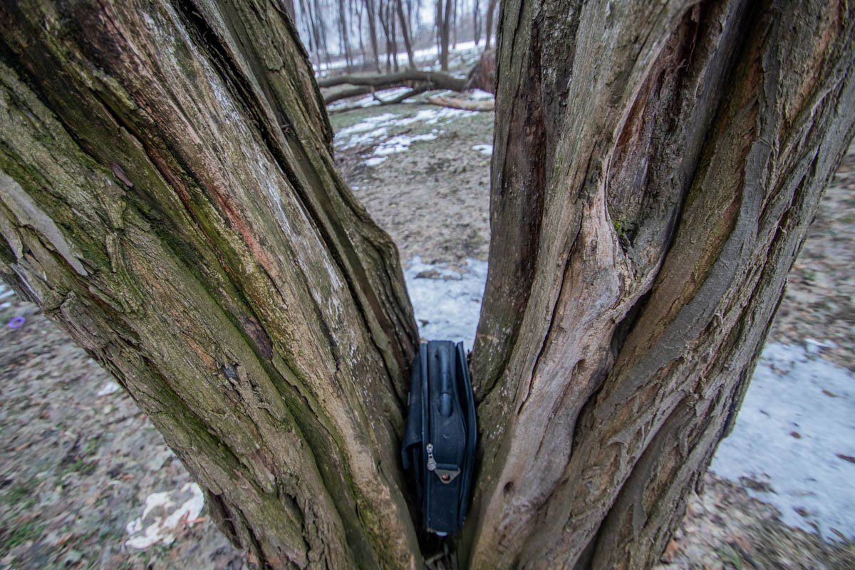 Ищет хозяина Ищет хозяина