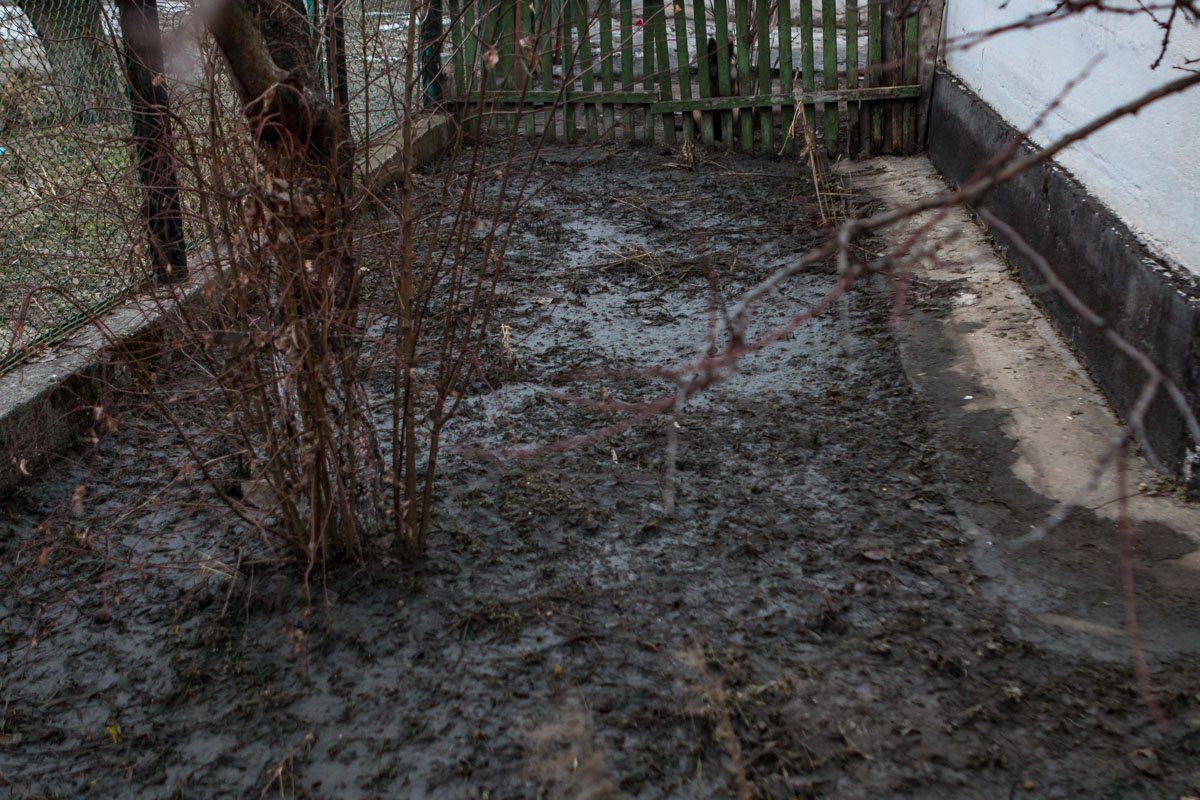 Такая земля во дворе