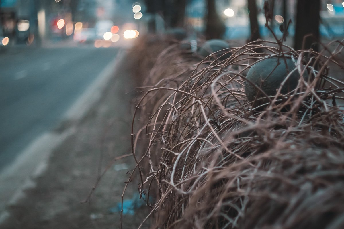 Утром в городе царит особая атмосфера