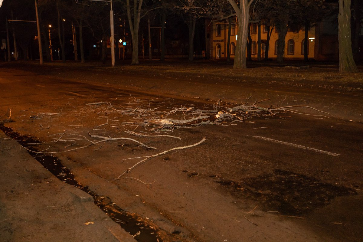 Ветка дерева упала на дорогу Ветка дерева упала на дорогу