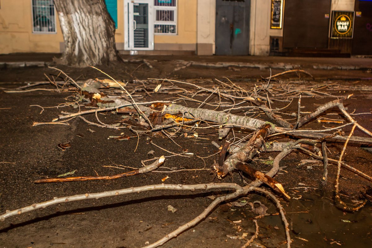 Водителям приходится объезжать ветку по тротуару Водителям приходится объезжать ветку по тротуару