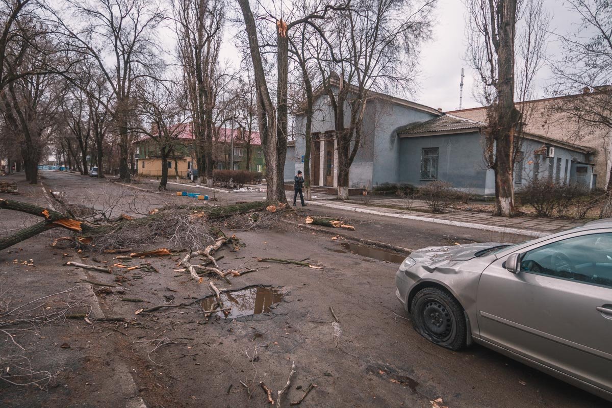 Упавшая ветка перегородило дорогу Упавшая ветка перегородило дорогу