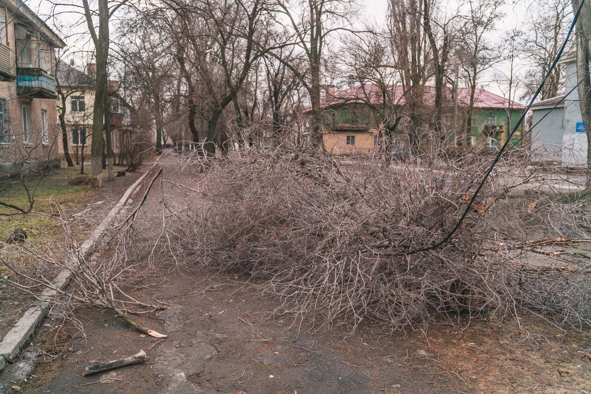 Кроме того, упавшая ветка оборвала провода Кроме того, упавшая ветка оборвала провода
