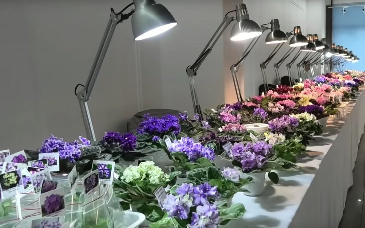 ТОП мероприятий, куда стоит пойти на выходных в Днепре 2