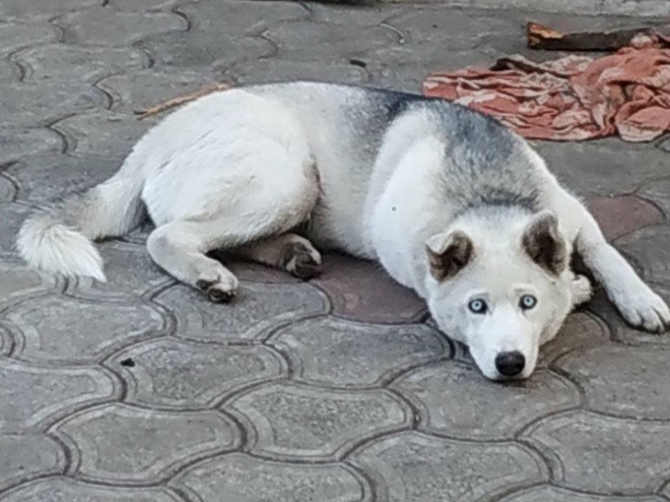 Я напуган и хочу домой