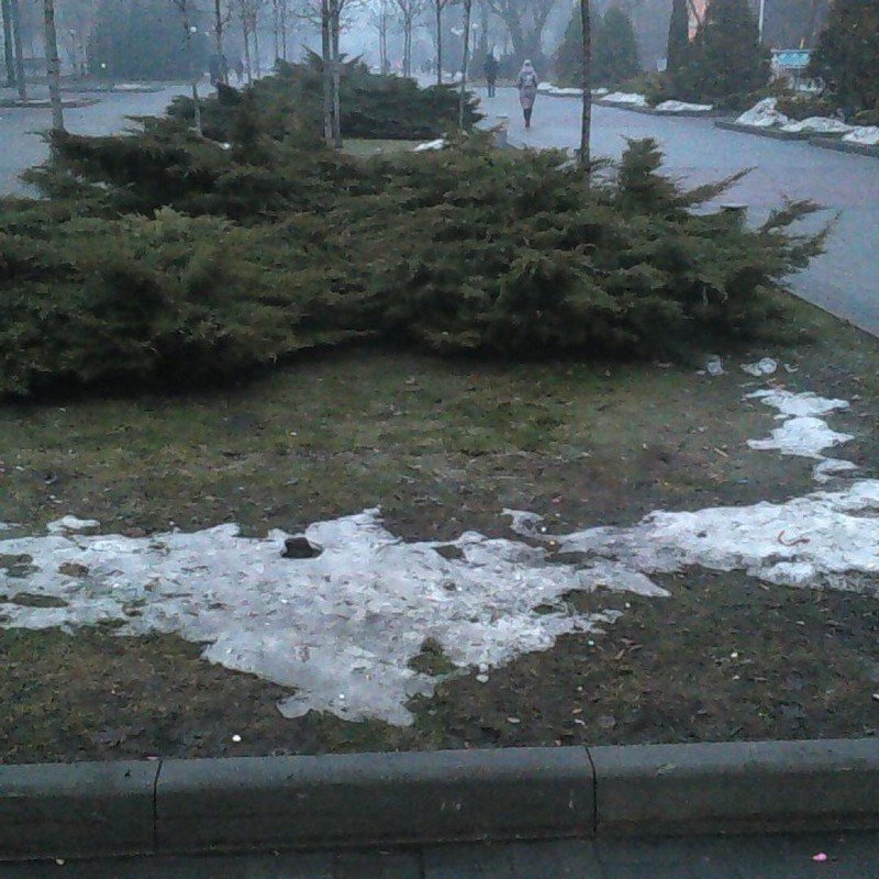 Отсутствие селфи - это однозначно тренд Отсутствие селфи - это однозначно тренд