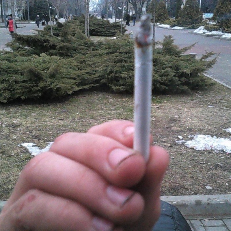 Мамкин бандит Мамкин бандит