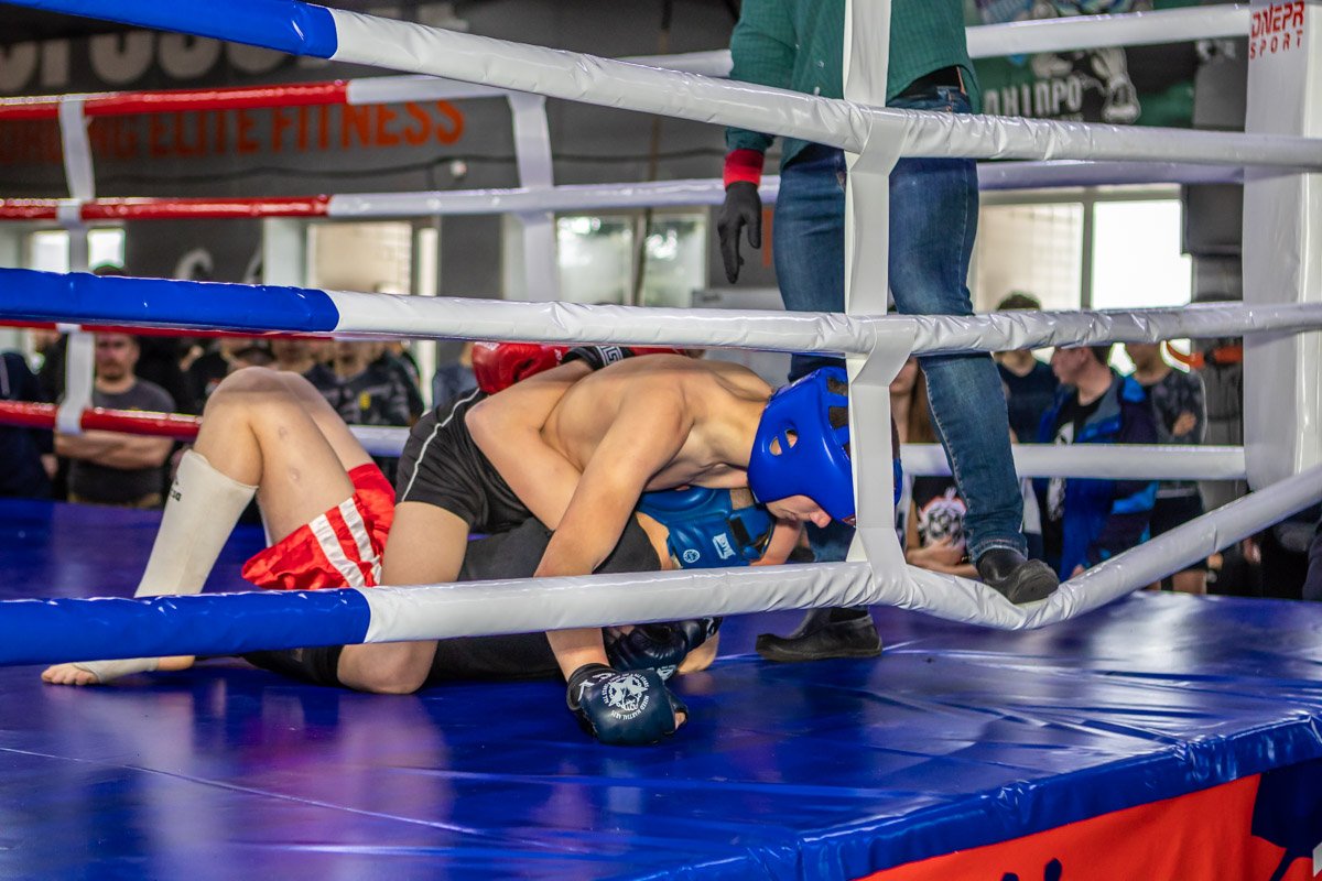 Участвовали профессионалы и новички