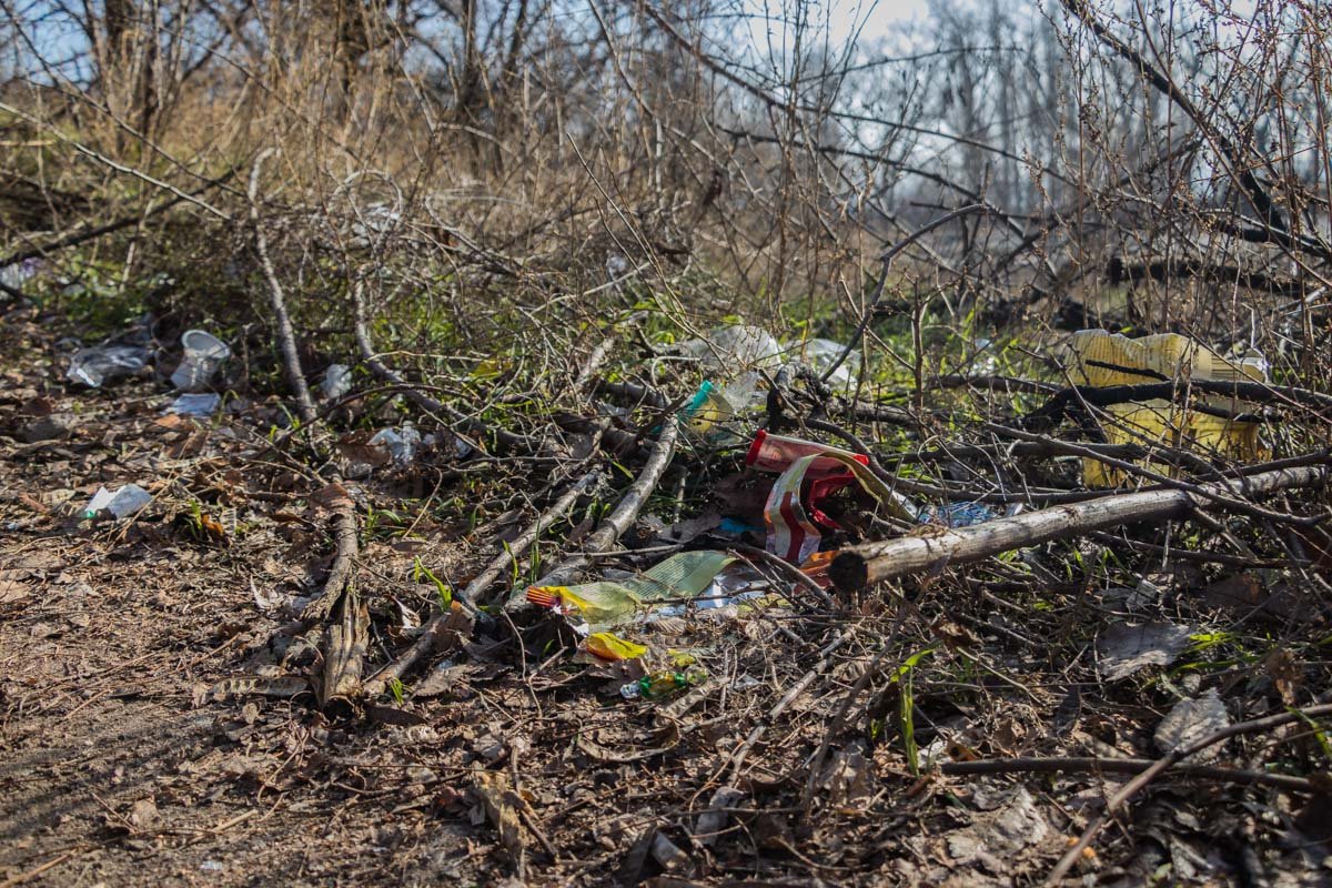 Не стадион, а свалка Не стадион, а свалка