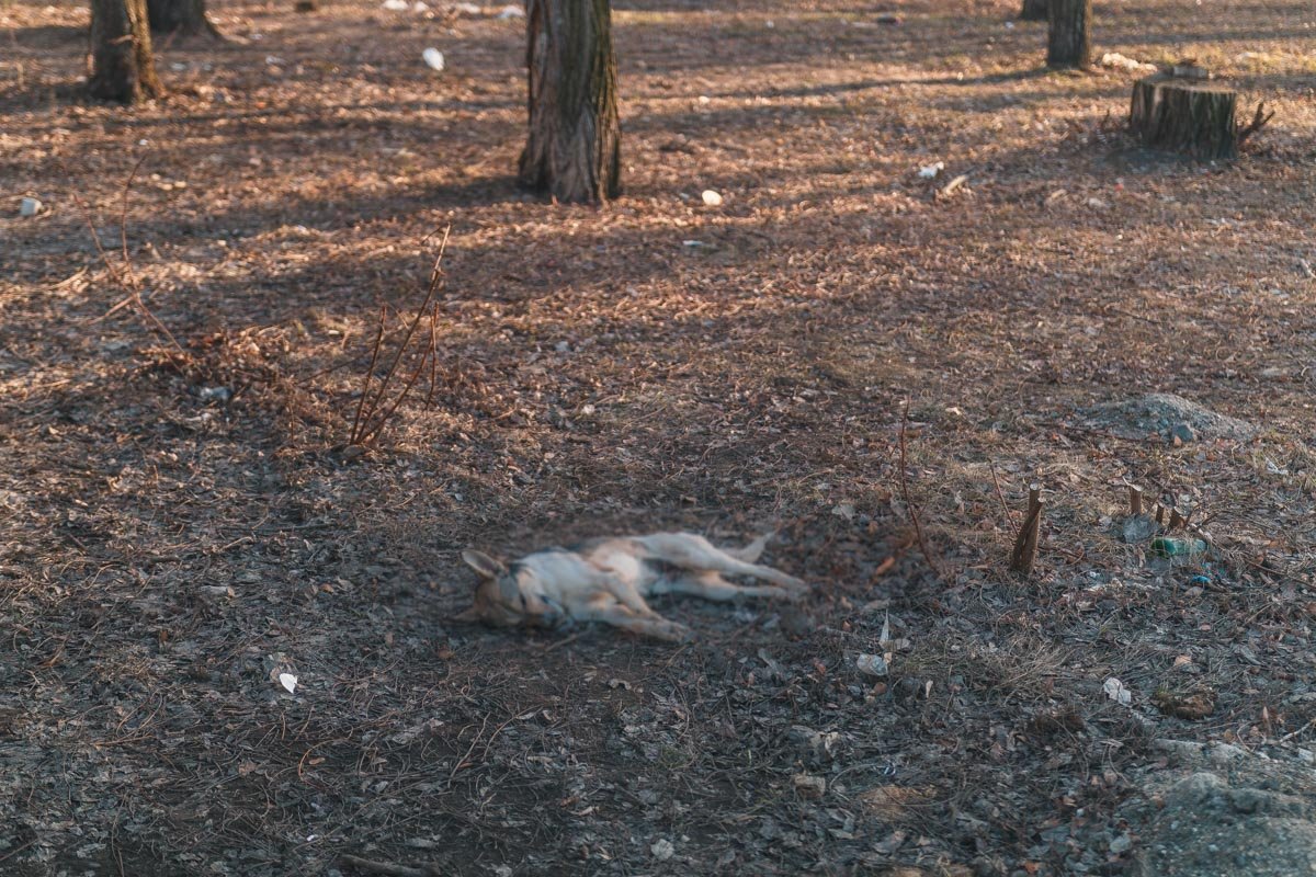 Они этого не заслужили