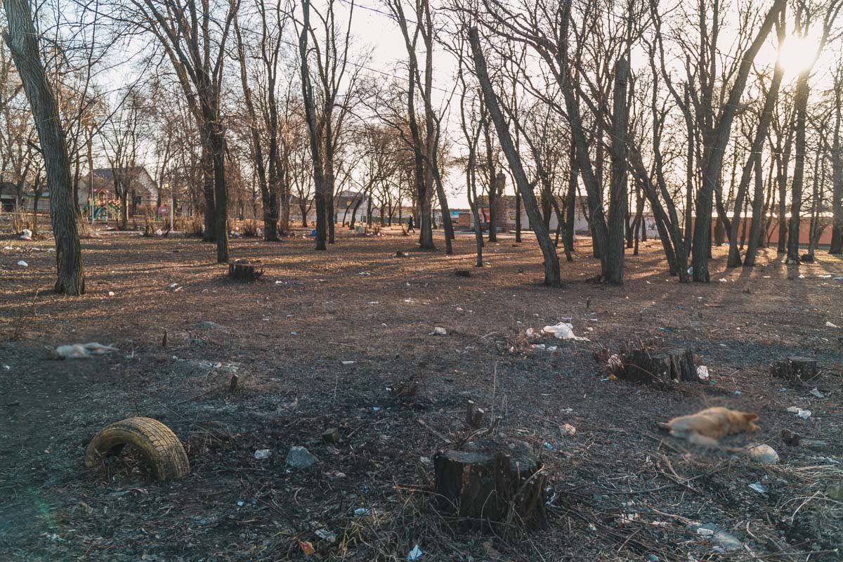 Так поступают только трусы