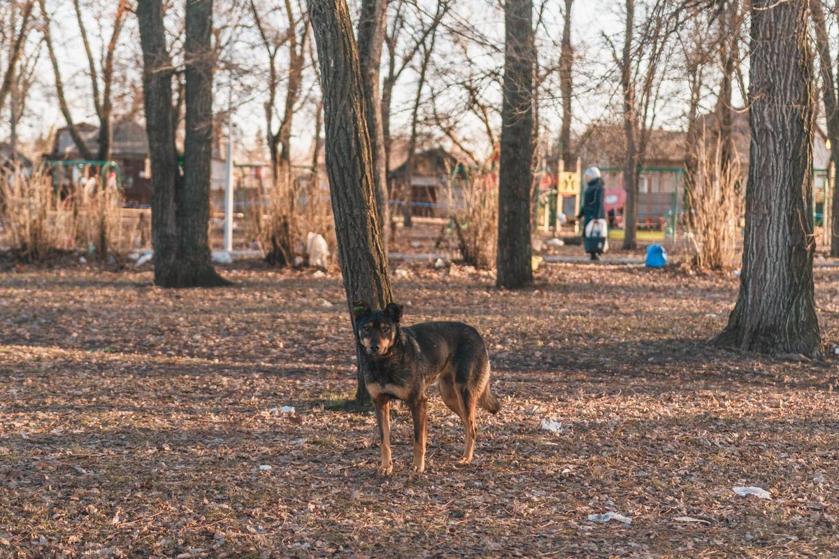 Она хочет жить