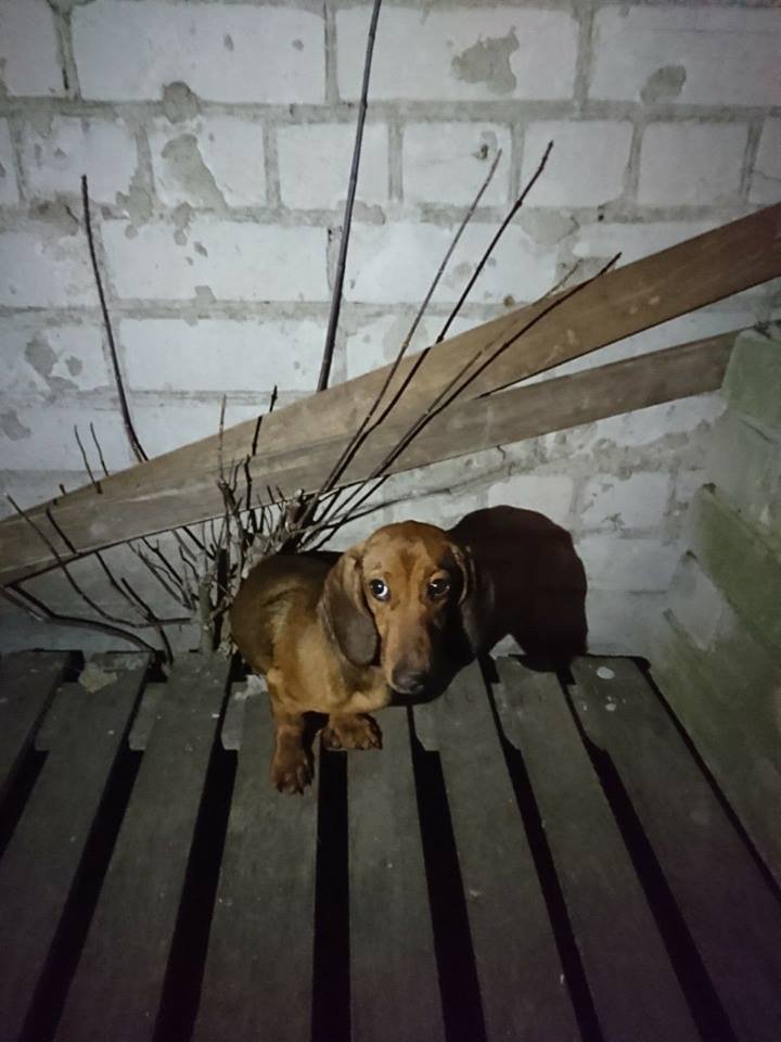 Заберите друга