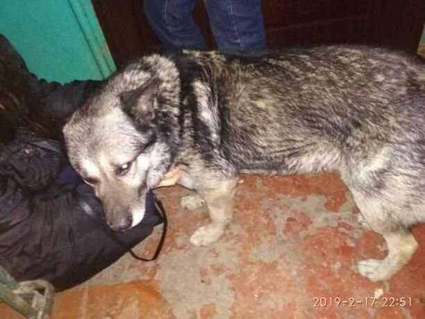 Ждет своего человека