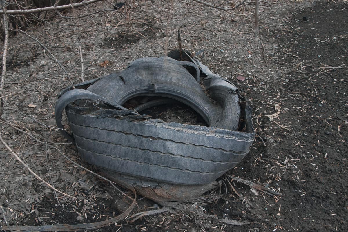 Фото: Глеб Пархомец