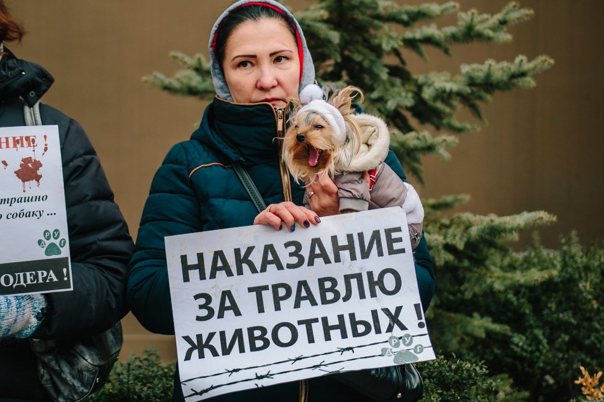 Никто из них не заслуживает жестокого обращения к себе