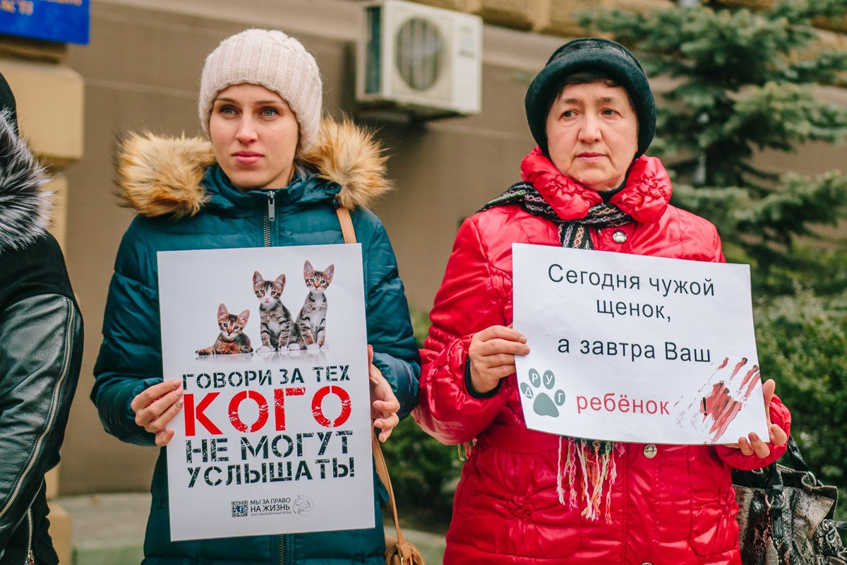 Пора начинать заступаться за тех, кто не может кричать о помощи