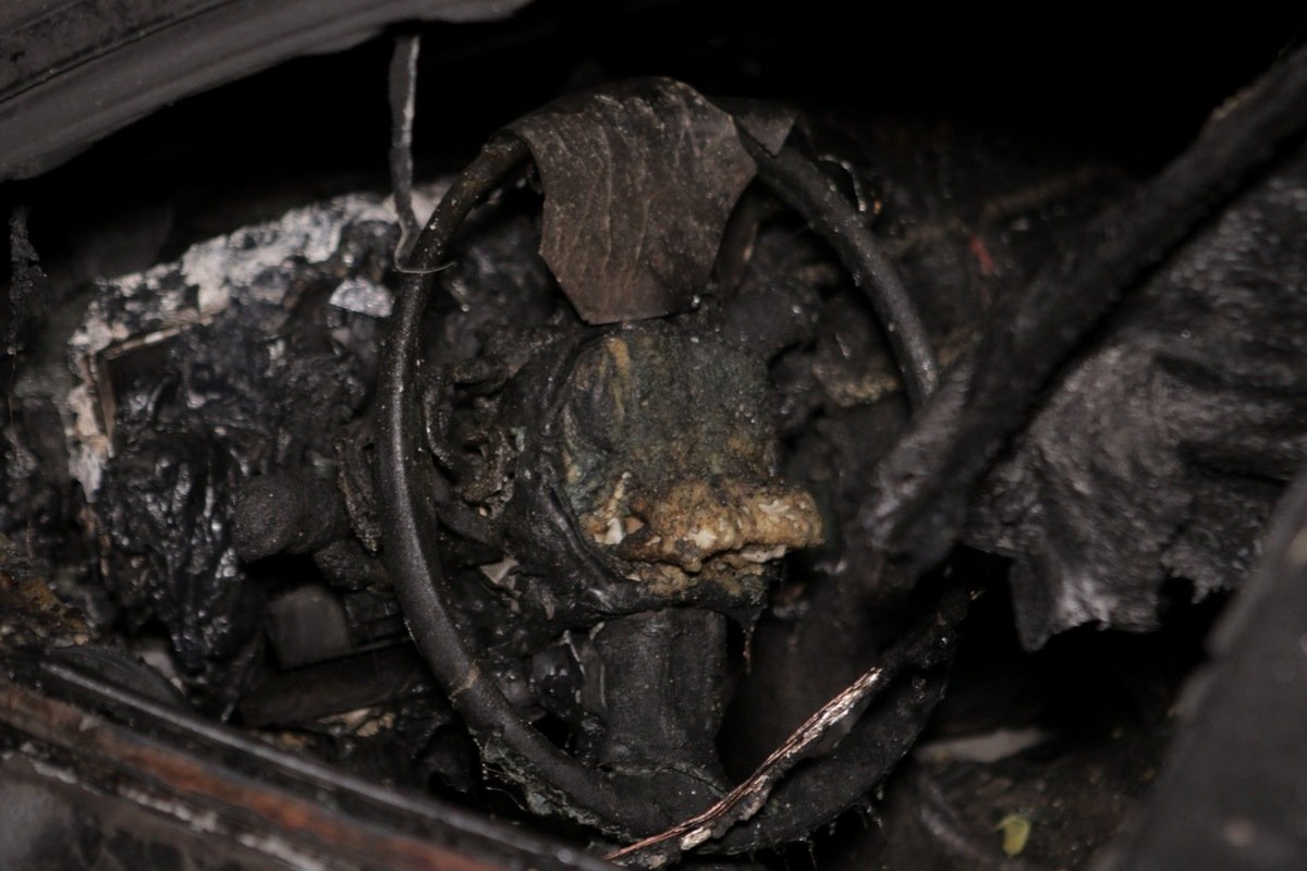 Никто не пострадал