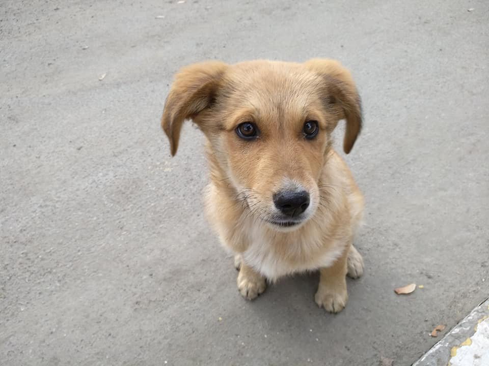 Спасите жизнь Спасите жизнь