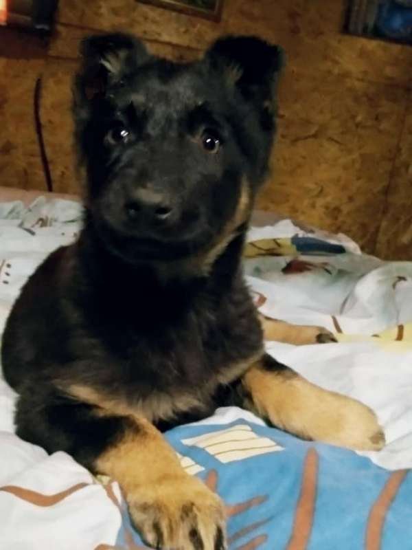 Ей всего полтора месяца Ей всего полтора месяца