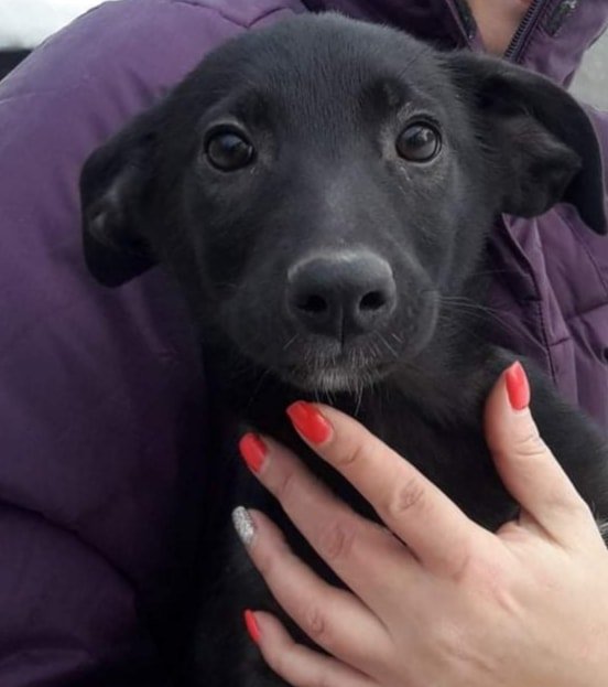 Мишаня Мишаня