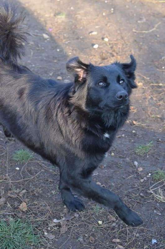 Грация Грация