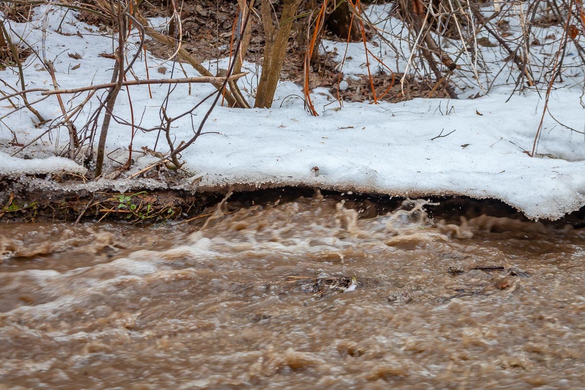 Во всем можно увидеть прекрасное Во всем можно увидеть прекрасное