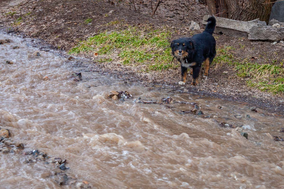 Презрительный взгляд Презрительный взгляд