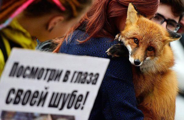 Участвовать могут все