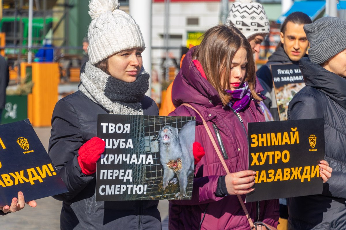 Никто не заслуживает жестокого обращения к себе Никто не заслуживает жестокого обращения к себе