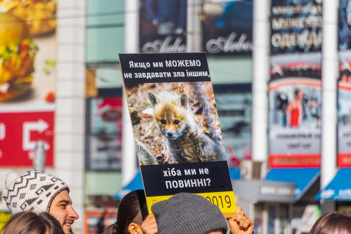Радует, что в Днепре много людей, кто солидарен с зоозащитниками Радует, что в Днепре много людей, кто солидарен с зоозащитниками