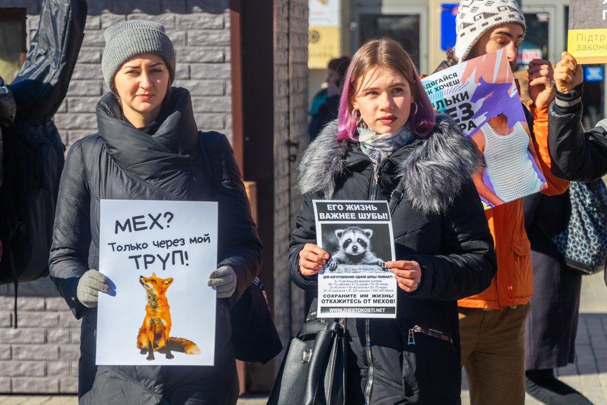 Ничего с тобой не случится, если на твоем капюшоне будет искусственный мех Ничего с тобой не случится, если на твоем капюшоне будет искусственный мех