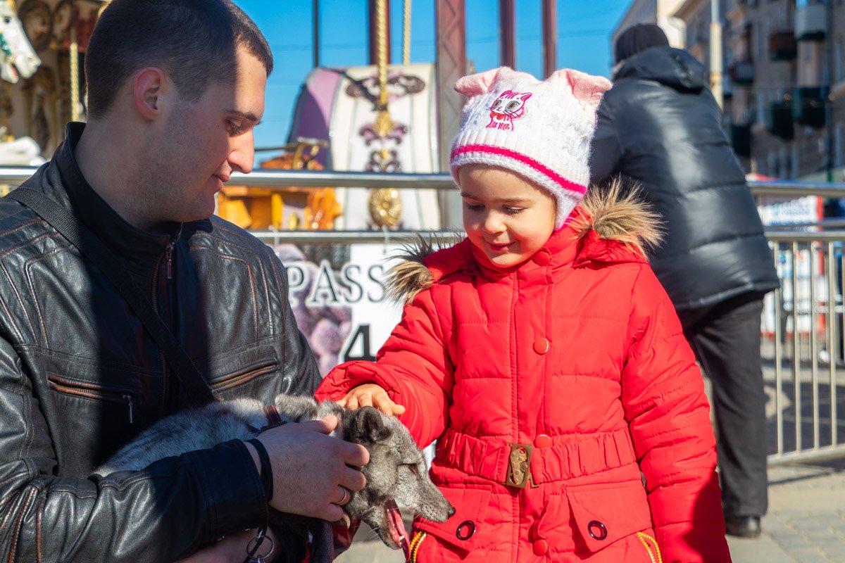 В вопросе защиты животных вся надежда на подрастающее поколение В вопросе защиты животных вся надежда на подрастающее поколение