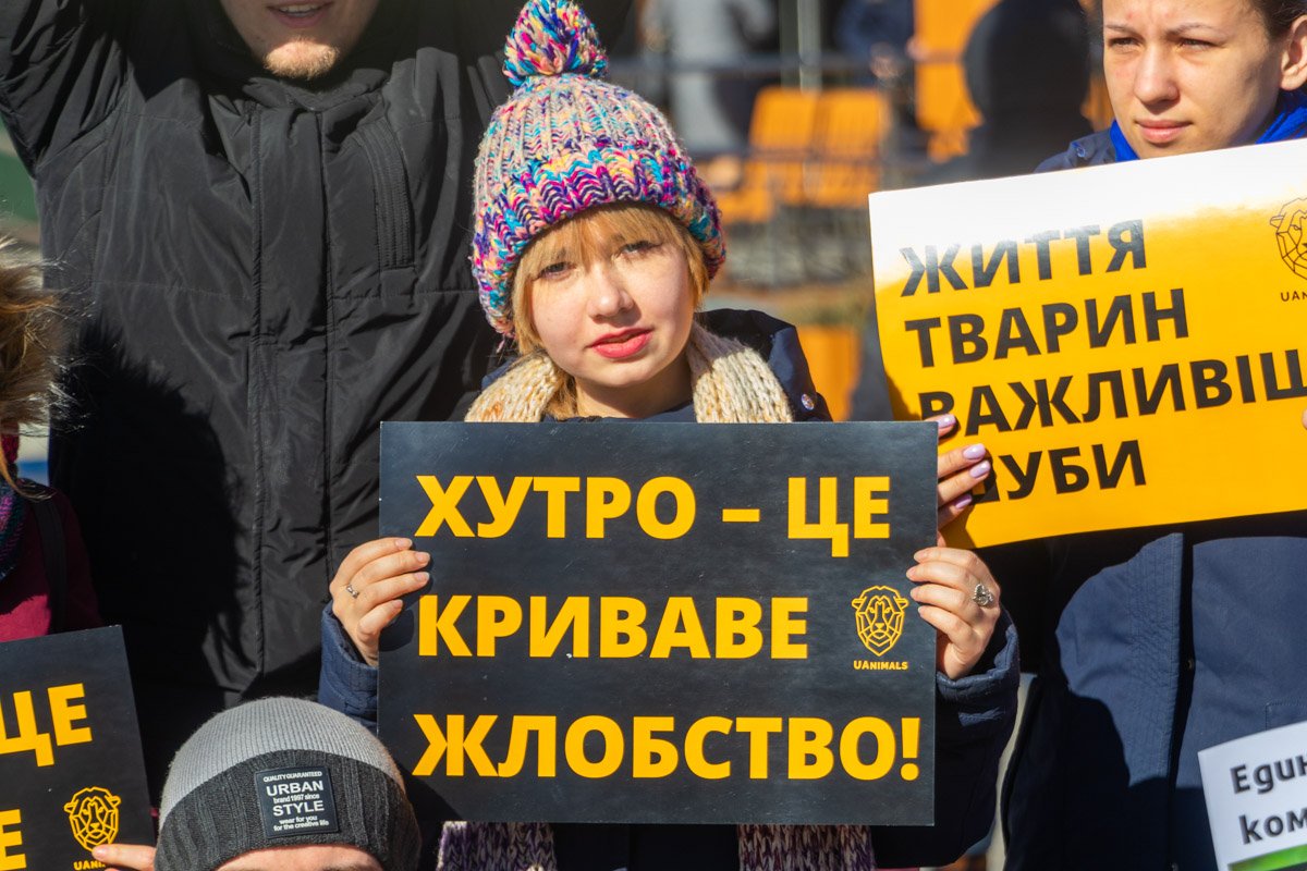 Животные - не одежда Животные - не одежда