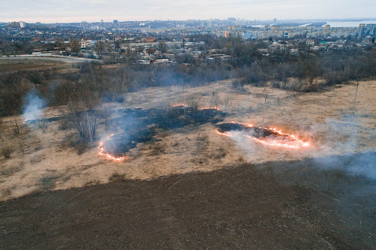 Предотвратить действительно масштабный пожар удалось спасателям