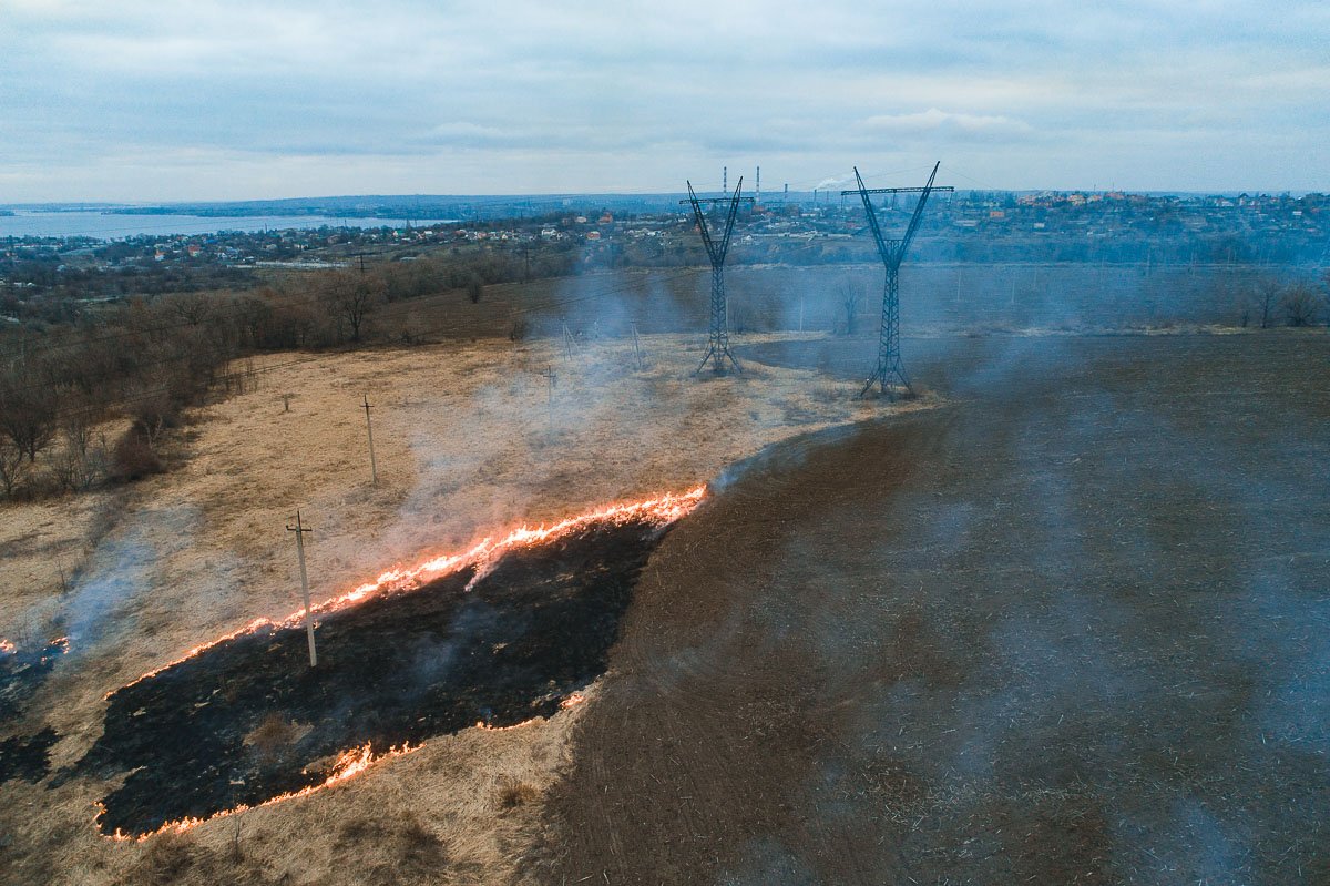 В течение часа спасатели полностью потушили лесополосу